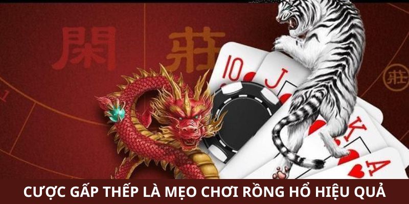 Cược gấp thếp là mẹo chơi Rồng hổ hiệu quả