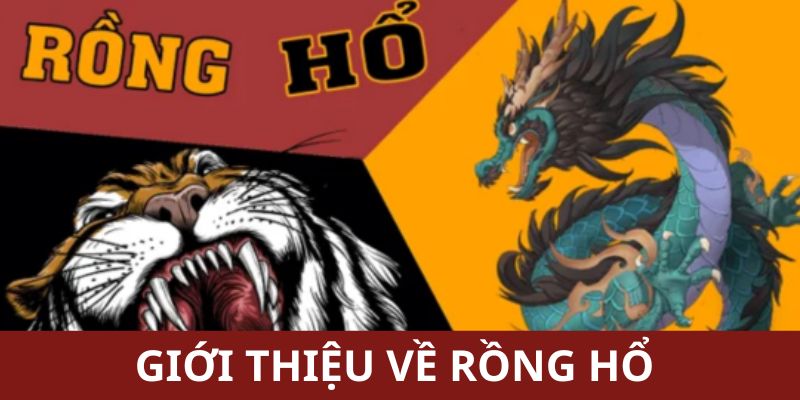 Giới thiệu về Rồng hổ