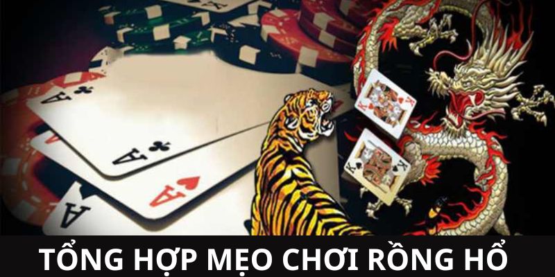 Tổng hợp mẹo chơi Rồng hổ