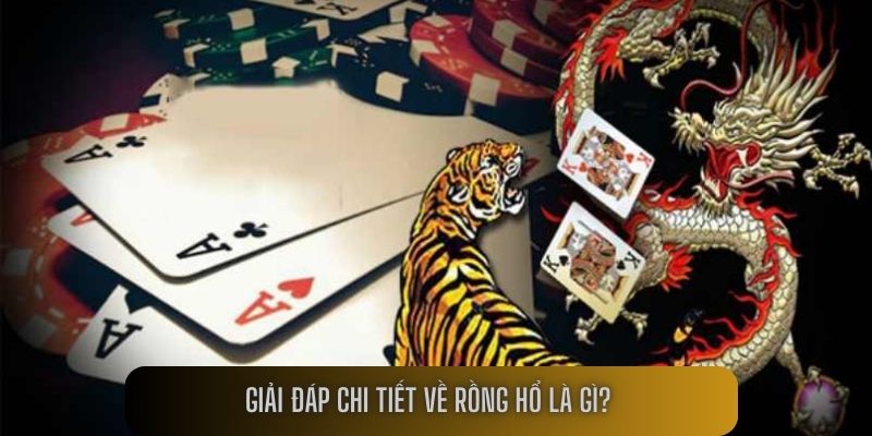 Giải đáp chi tiết về Rồng Hổ là gì? 