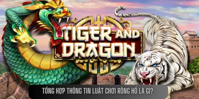 Tổng hợp thông tin luật chơi Rồng Hổ là gì? 